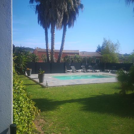 Le Mas Du Bijou Bleu Puget-sur Argens Eksteriør bilde