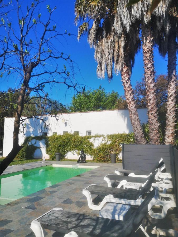 Le Mas Du Bijou Bleu Puget-sur Argens Eksteriør bilde